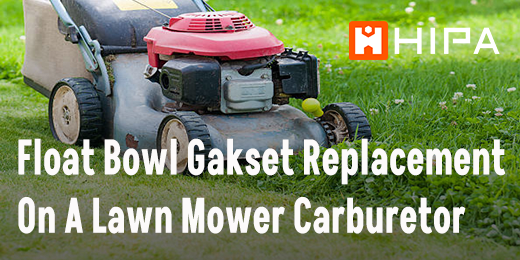 Float Bowl Gasket Replacement On A Lawn Mower Carburetor