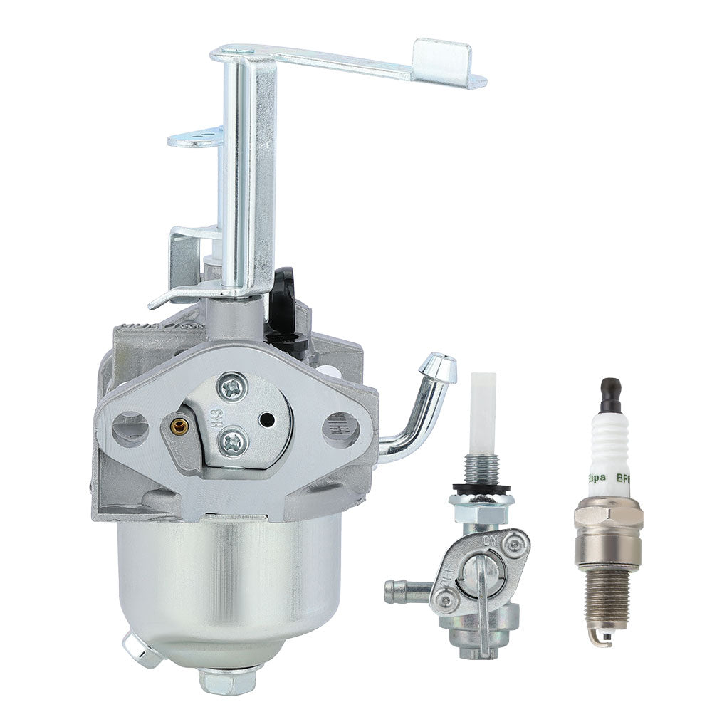 carburetor 80cc