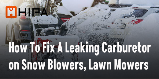 How To Fix A Leaking Carburetor On Snowblowers, Lawnmowers...