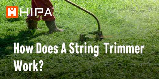 Spring Trimmer How Does A String Trimmer Work? – Hipa Store
