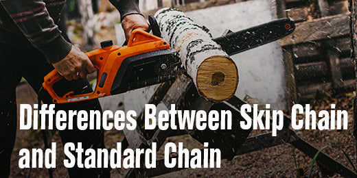 Differences Between Skip Chain and Standard Chain