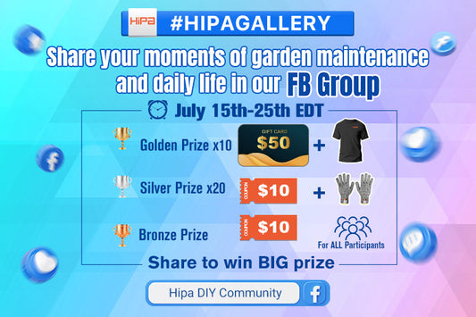 HIPA GALLERY CAMPAIGN