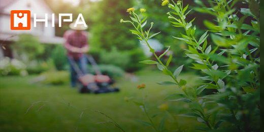 3 Common Reasons Why Your Lawn Mower Smoking – Hipa Store