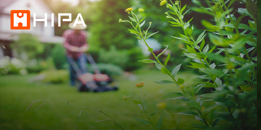 3 Common Reasons Why Your Lawn Mower Smoking