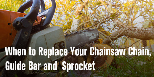 When to Replace Your Chainsaw Chain, Guide Bar, and Sprocket