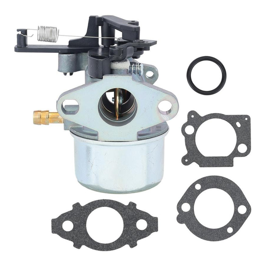 Hipa_591299_Carburetor_For_Bri