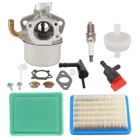 Hipa Carburetor Kit for Briggs & Stratton 697354 790290 791077 698860 5.5HP 110432 110492 110412 111432 Engine