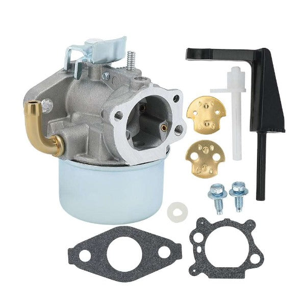 Hipa Carburetor Kit for Briggs & Stratton 697354 790290 791077 698860 5.5HP 110432 110492 110412 111432 Engine